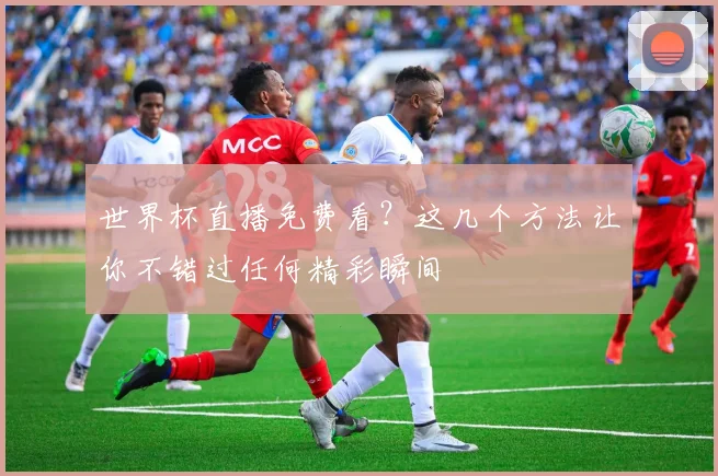 世界杯直播免费看？这几个方法让你不错过任何精彩瞬间