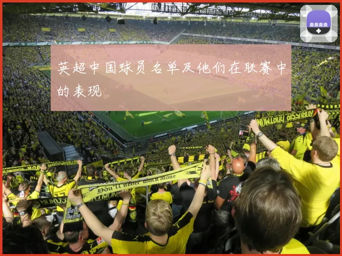 英超中国球员名单及他们在联赛中的表现