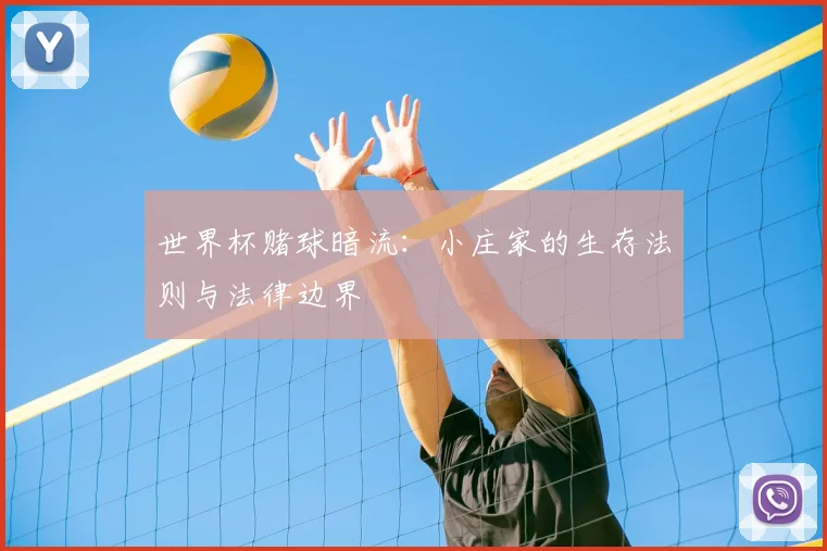 世界杯赌球暗流：小庄家的生存法则与法律边界