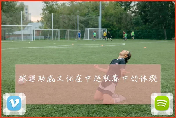 球迷助威文化在中超联赛中的体现