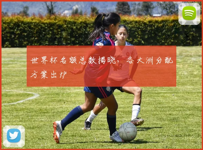 世界杯名额总数揭晓，各大洲分配方案出炉