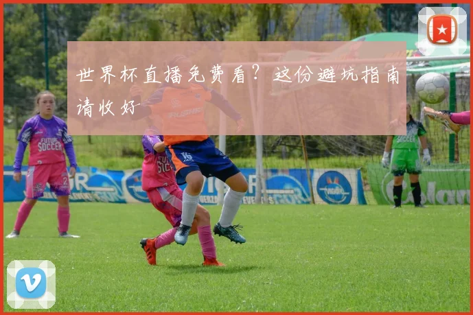 世界杯直播免费看?这份避坑指南请收好