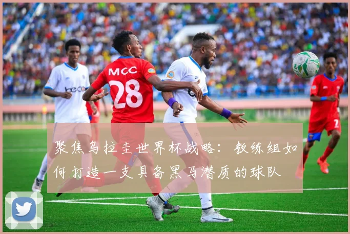 聚焦乌拉圭世界杯战略：教练组如何打造一支具备黑马潜质的球队