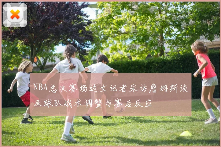 NBA总决赛场边女记者采访詹姆斯谈及球队战术调整与赛后反应