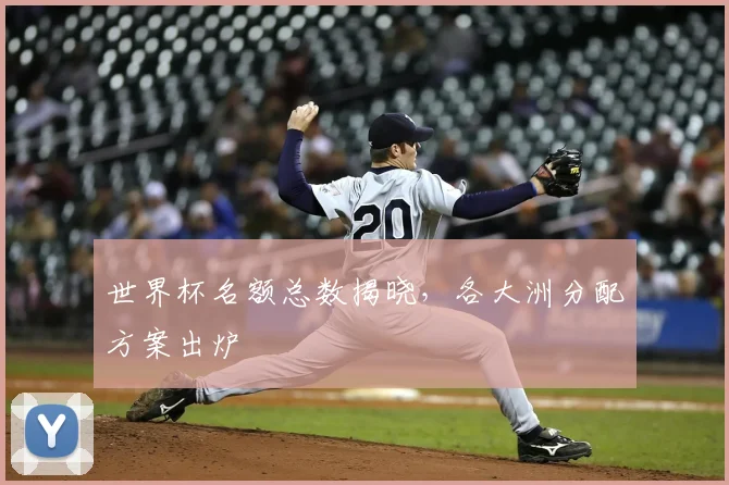 世界杯名额总数揭晓，各大洲分配方案出炉