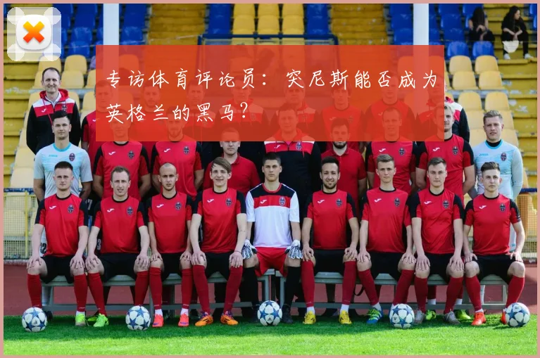 专访体育评论员：突尼斯能否成为英格兰的黑马？