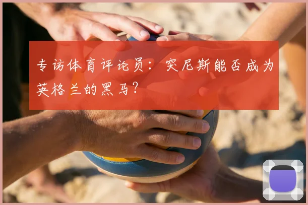专访体育评论员：突尼斯能否成为英格兰的黑马？