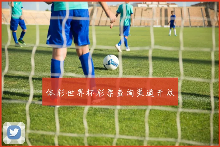 体彩世界杯彩票查询渠道开放