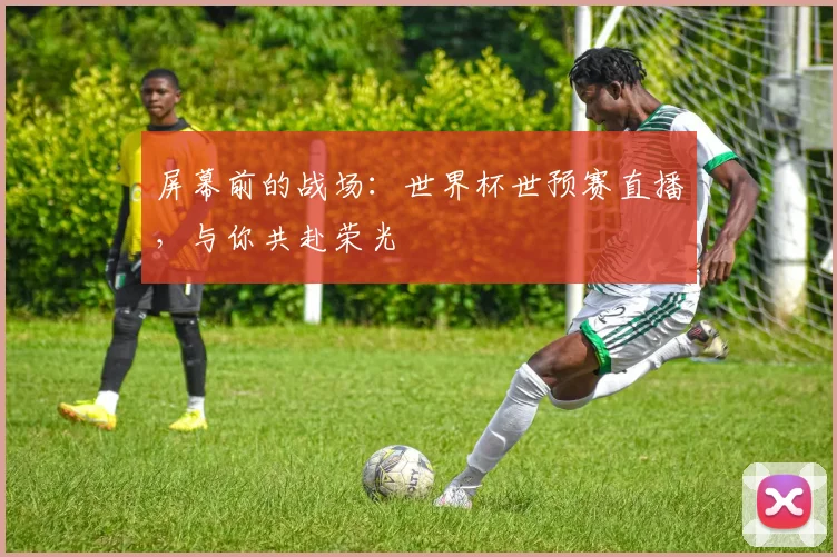 屏幕前的战场：世界杯世预赛直播，与你共赴荣光