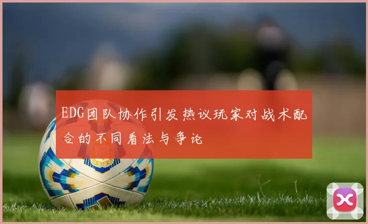 EDG团队协作引发热议玩家对战术配合的不同看法与争论