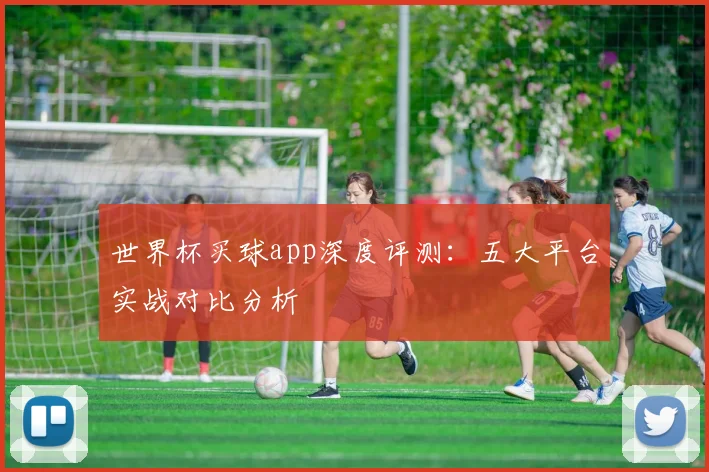 世界杯买球app深度评测:五大平台实战对比分析