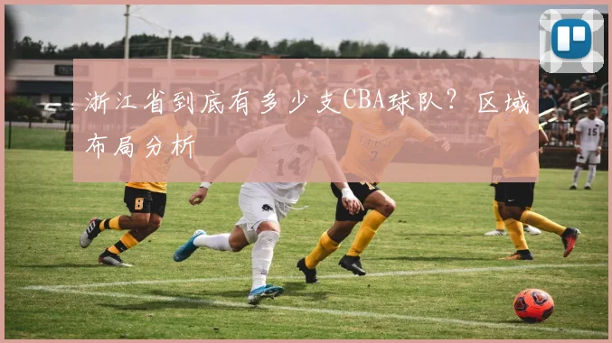 浙江省到底有多少支CBA球队？区域布局分析