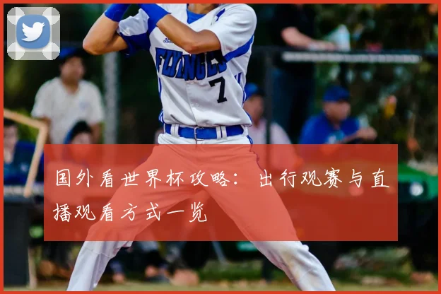 国外看世界杯攻略：出行观赛与直播观看方式一览